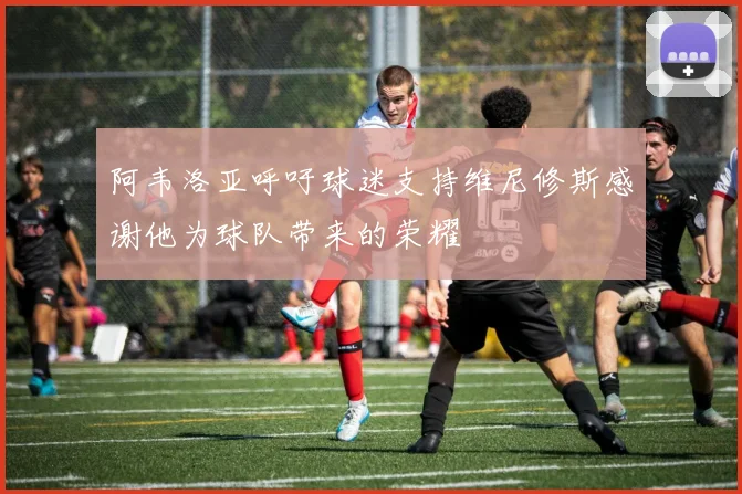 阿韦洛亚呼吁球迷支持维尼修斯感谢他为球队带来的荣耀