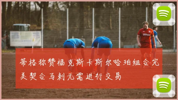 蒂格称赞福克斯卡斯尔哈珀组合完美契合马刺无需进行交易