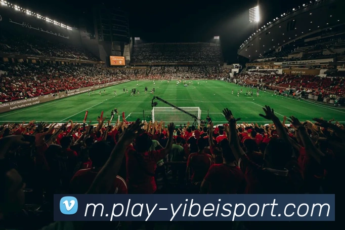 App Interface Preview